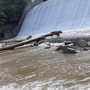 Meet your Posher, Luke